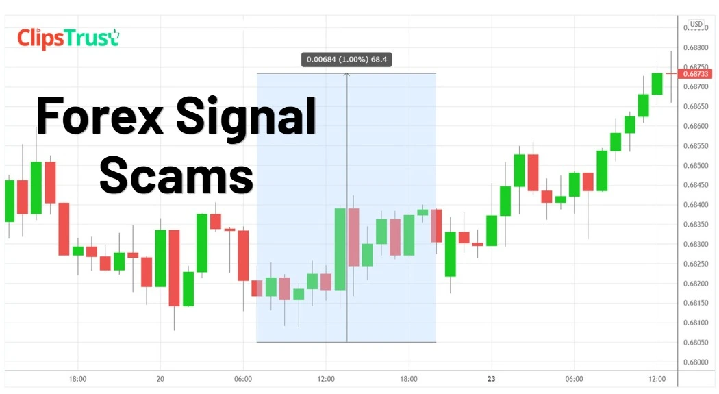 Forex Signal Scams : 8 Red Flags & Scam Methods Explained